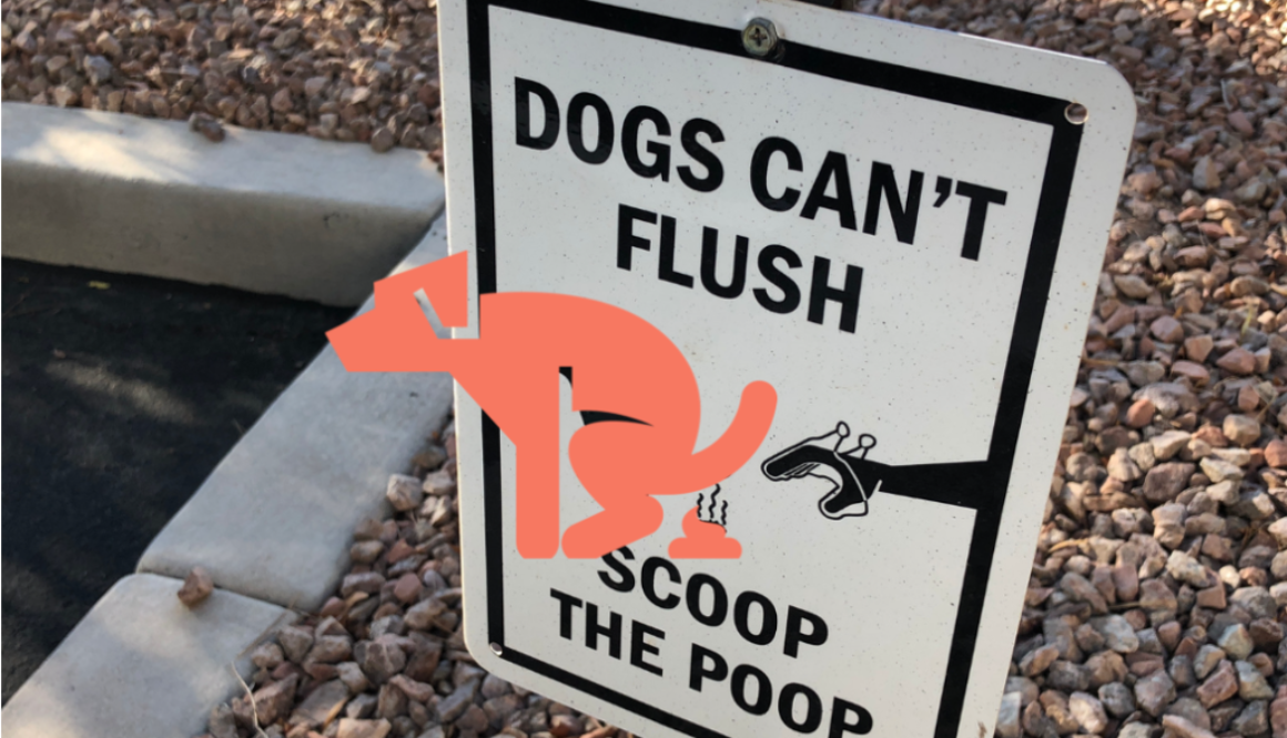 dog poop