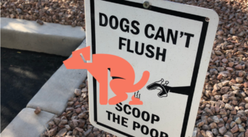 dog poop