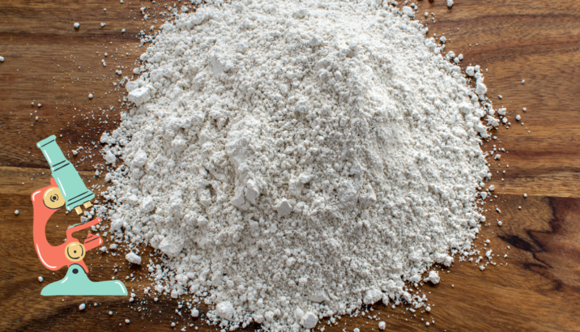 diatomaceous earth