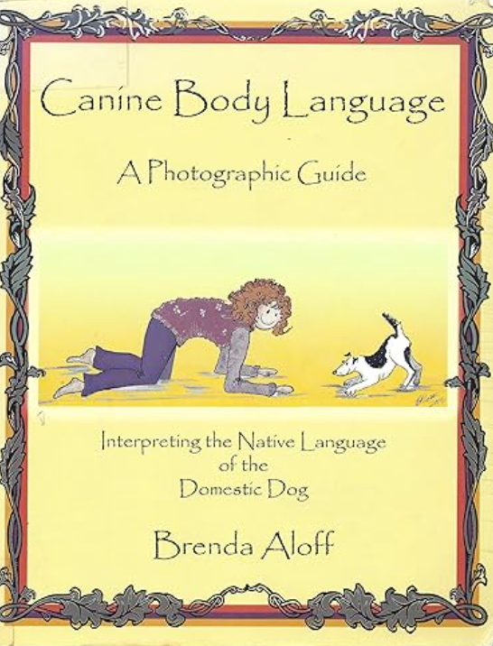 Body language brenda aloff book cover