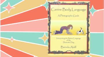 Canine body language brenda aloff webstie image