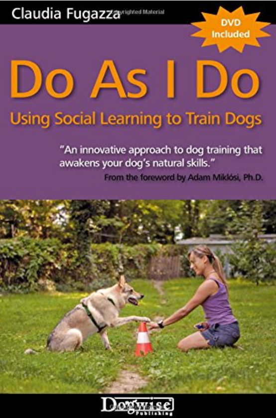 Do as I do book cover