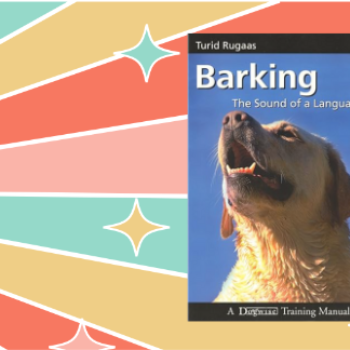 barking website image