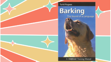 barking website image