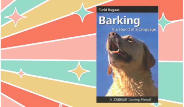 barking website image