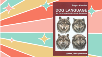 dog language website image