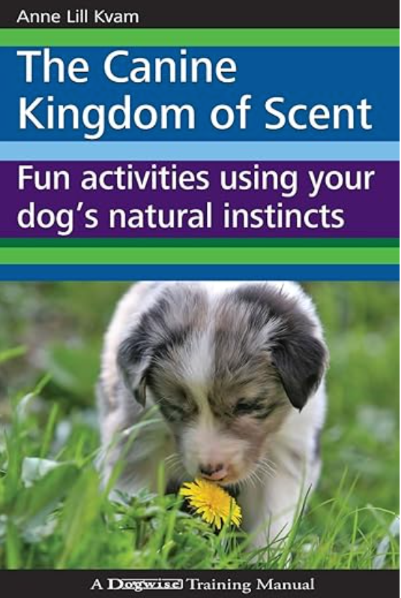 kingdom of scent book cover