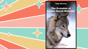 the evolution of canine social behavior website image