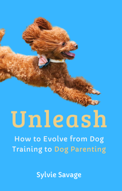 Unleash book cover brown poodle 08-06-24