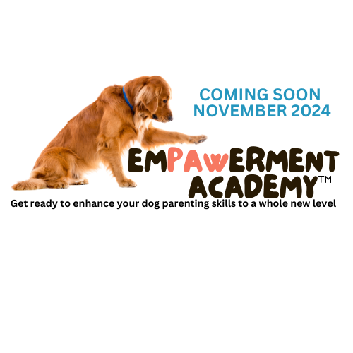 coming soon. nov empawerment academy 10-02-24