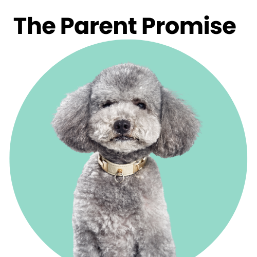 Fluffy grey dog on green circle background with text 'The Parent Promise' for online dog course through Empawerment Academy by Sylvie Savage